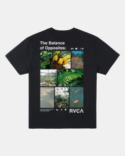 TEXTBOOK TEE